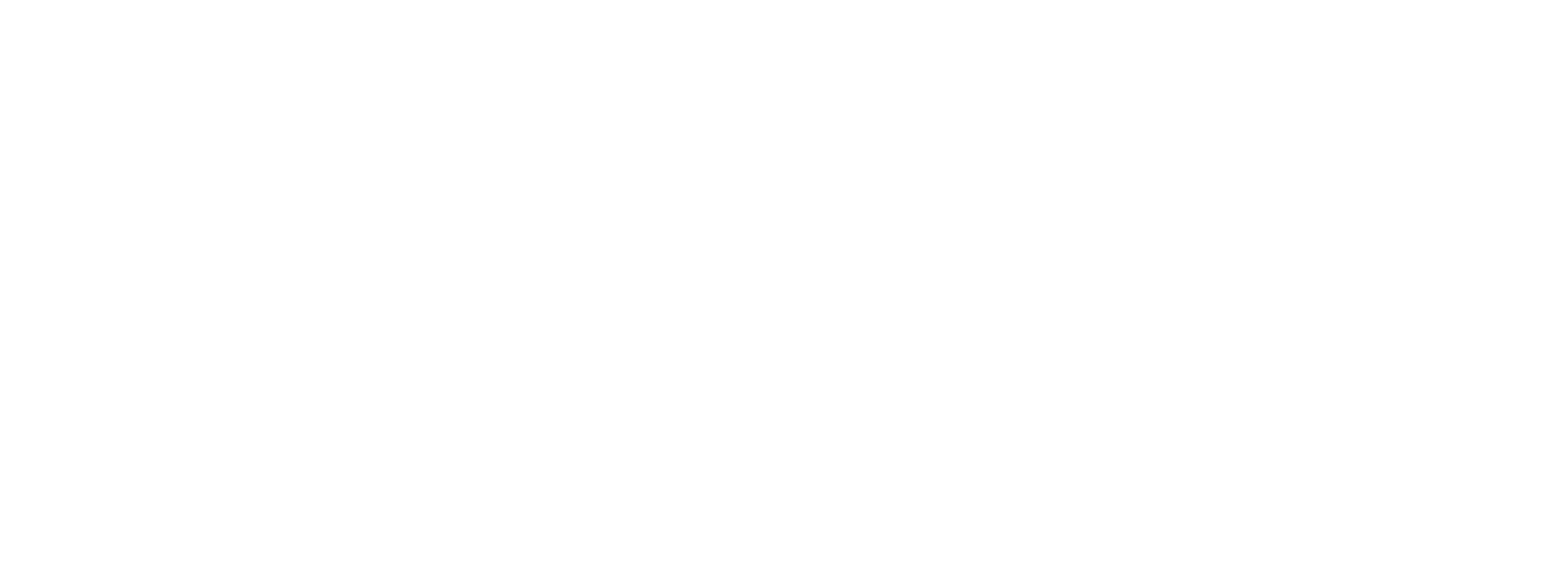 Logo Molina