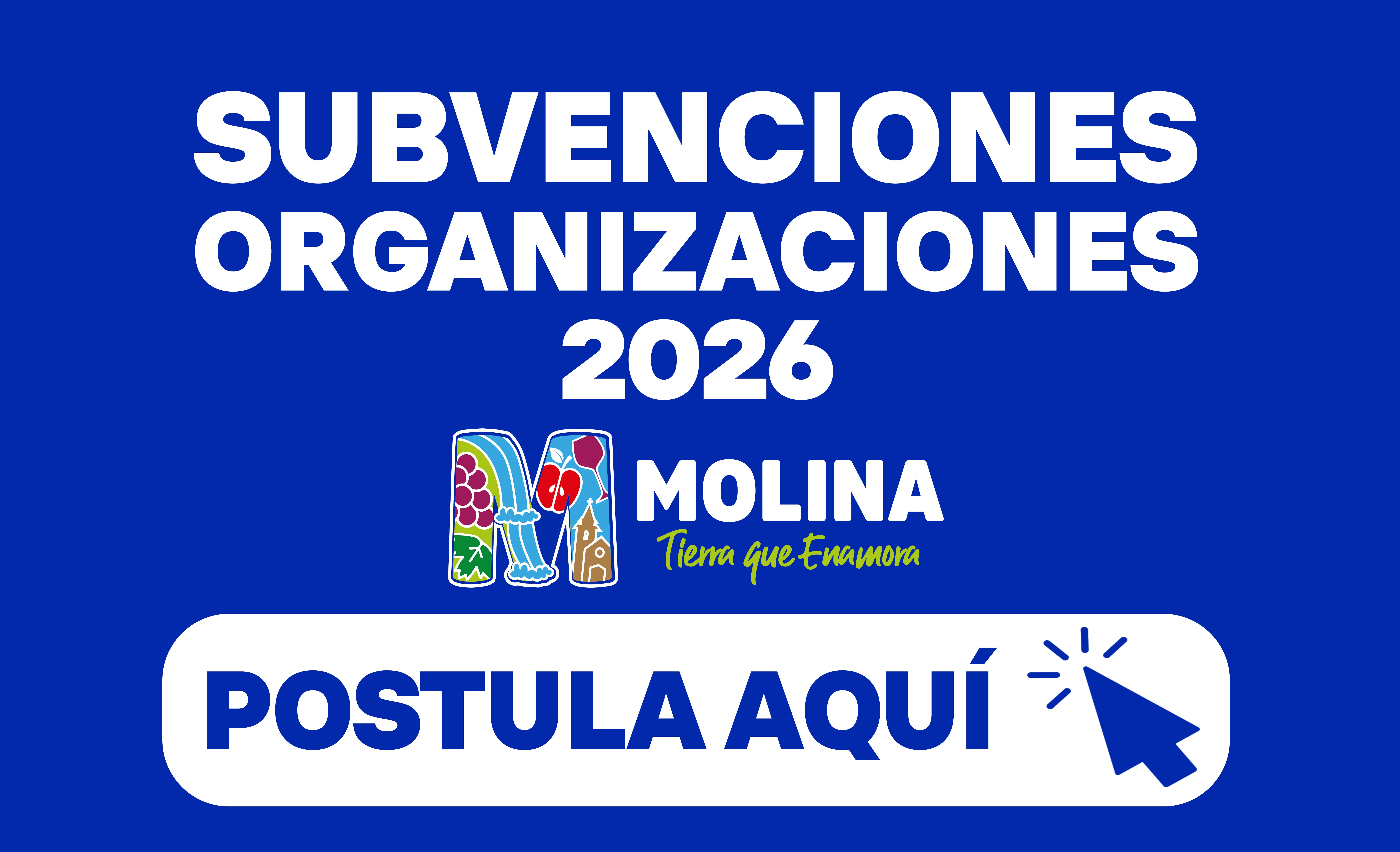 SUBVENCIONES 2026